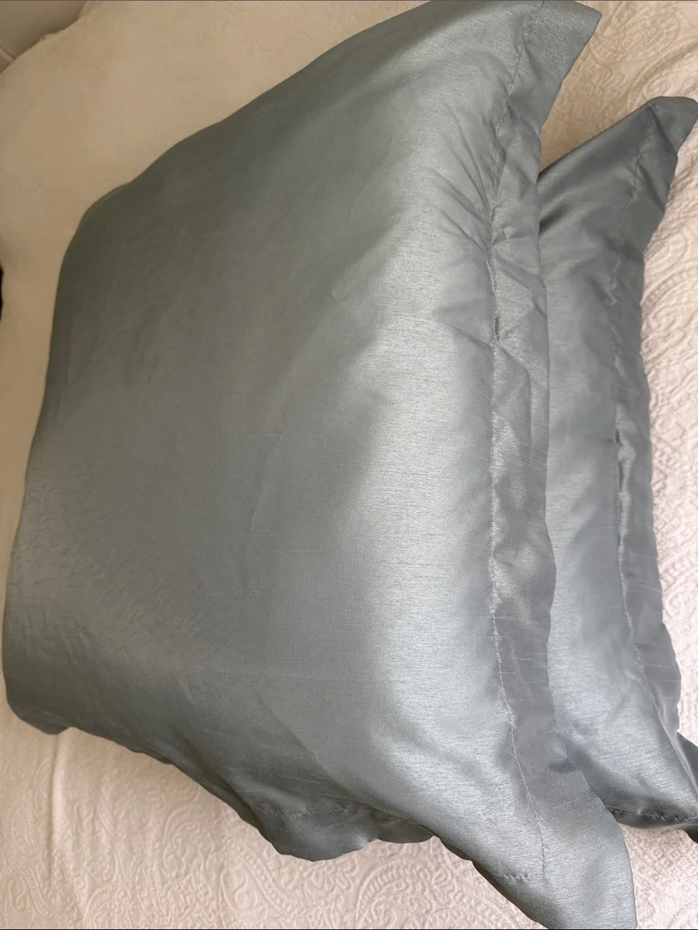 2 Pillows in Turquoise up Shine Cases brown button